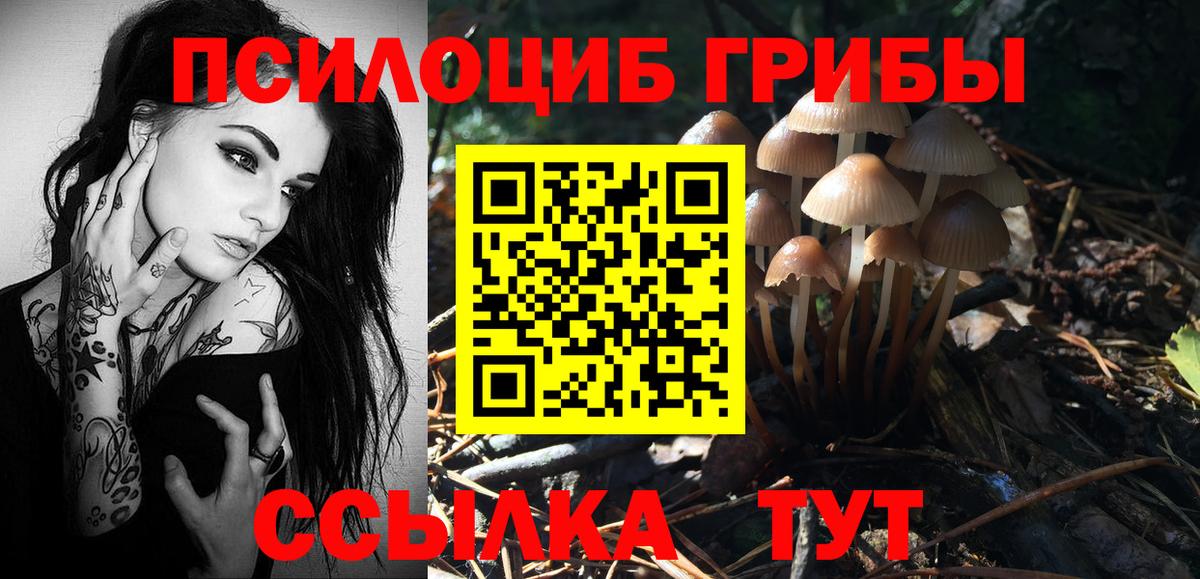 Галлюциногенные грибы GOLDEN TEACHER  Вход с VPN  закладка  Новошахтинск  Галлюциногенные грибы Cubensis 